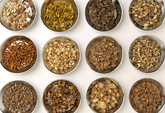 Traditional Chinese Medicine