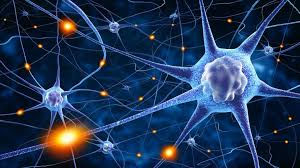 Neurotransmitter: The Chemistry of Emotions