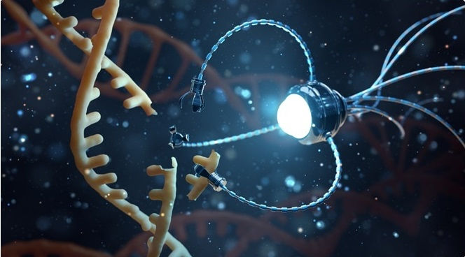 DNA Nanotechnology