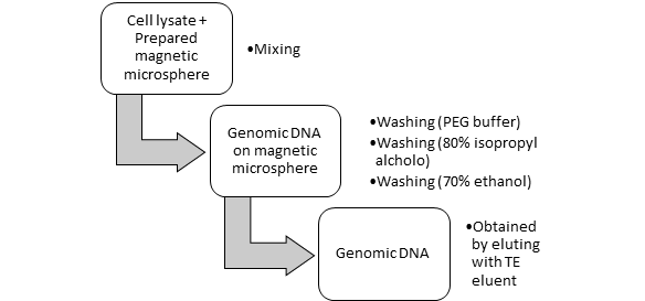 DNA nanotechnology in lysates and fixed cells