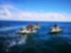 1000000490.jpg