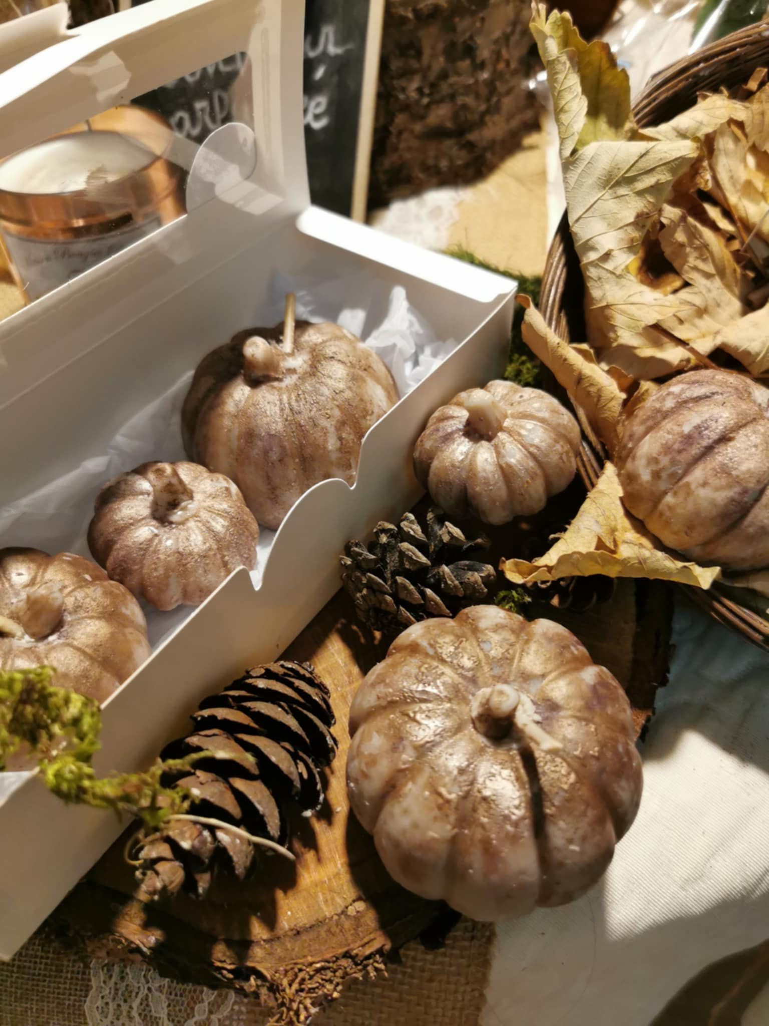 Châtaigne Potiron (Lot de 3)