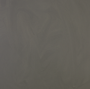 Jungle-Leafs.png