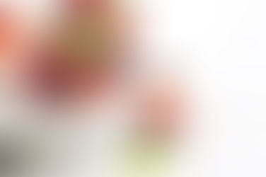 Fácil y nutritivo: Aprende a hacer un pudín de Chia.