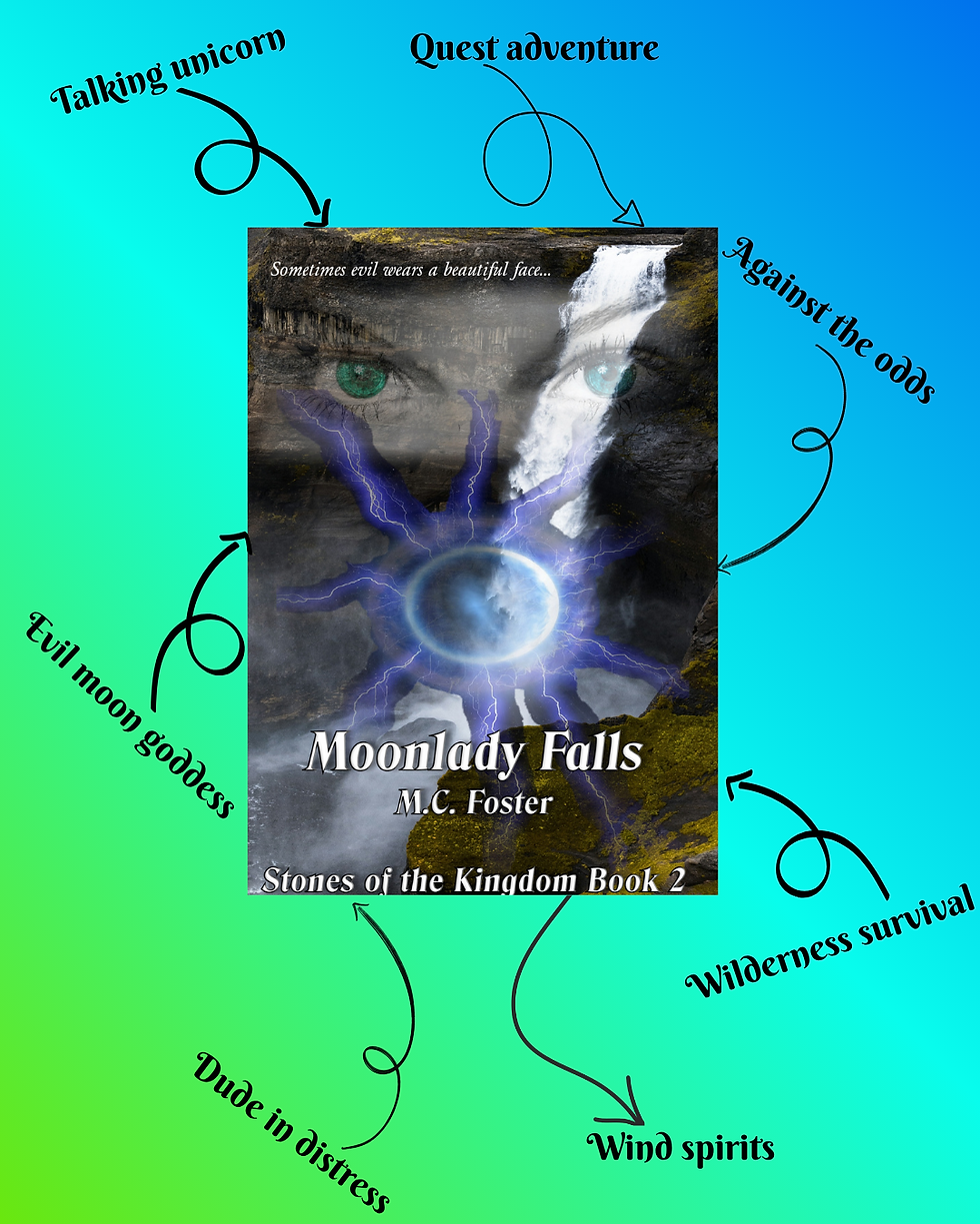 Front cover of Moonlady Falls with a list of tropes: Talking Unicorn, Quest Adventure, Against the Odds, Evil Moon Goddess, Wilderness Survival, Wind Spirits, Dude In Distress