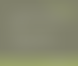 Central Reservation System (CRS)