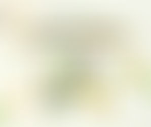 𝟔 วิธีพัฒนา 𝐂𝐨𝐥𝐥𝐚𝐛𝐨𝐫𝐚𝐭𝐢𝐨𝐧 𝐒𝐤𝐢𝐥𝐥𝐬 หรือ ทักษะการทำงานร่วมกันกับผู้อื่น