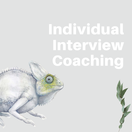 Interview Coaching With Kirsty 1 Hour