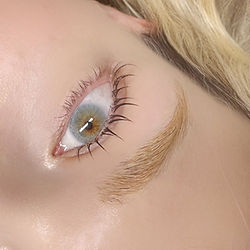 まつ毛を守りながらカールを長持ちさせる高持続パーマ。 (Long-lasting and gentle lash lift treatment in Rotterdam.)