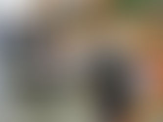 When Snow and Ice Come, Be Salt Smart