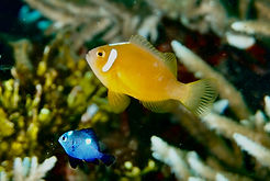 DSC0E0709.JPG