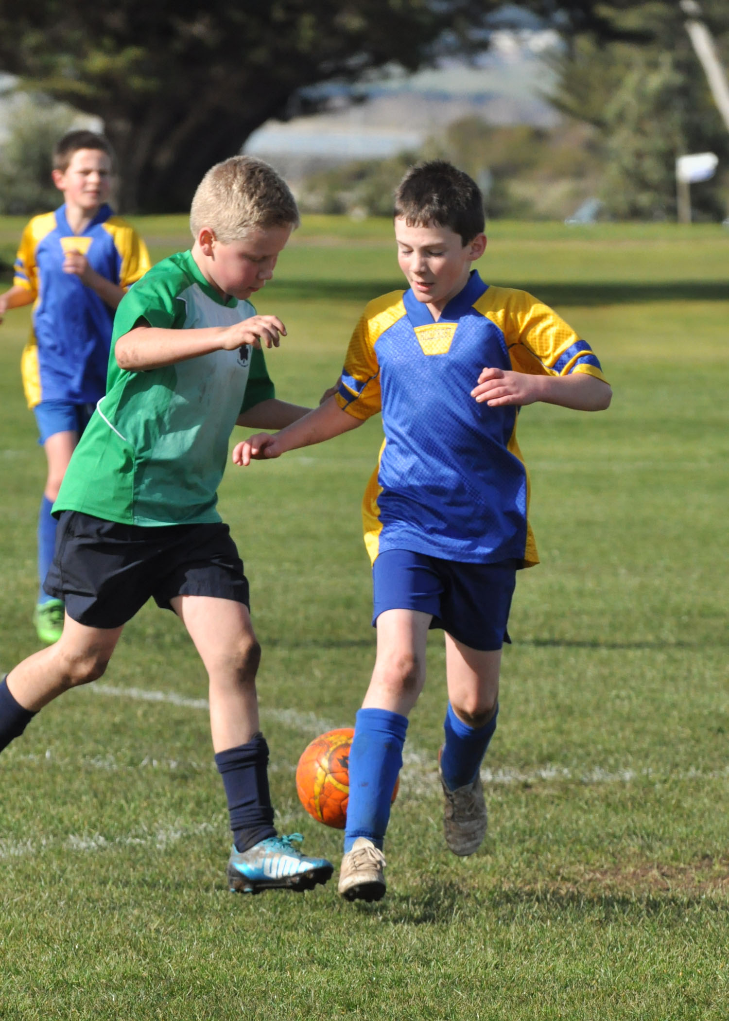 80 - 2016 Six A Side