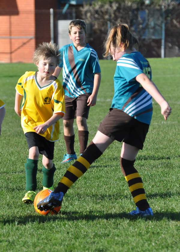 Six A Side Primary 81