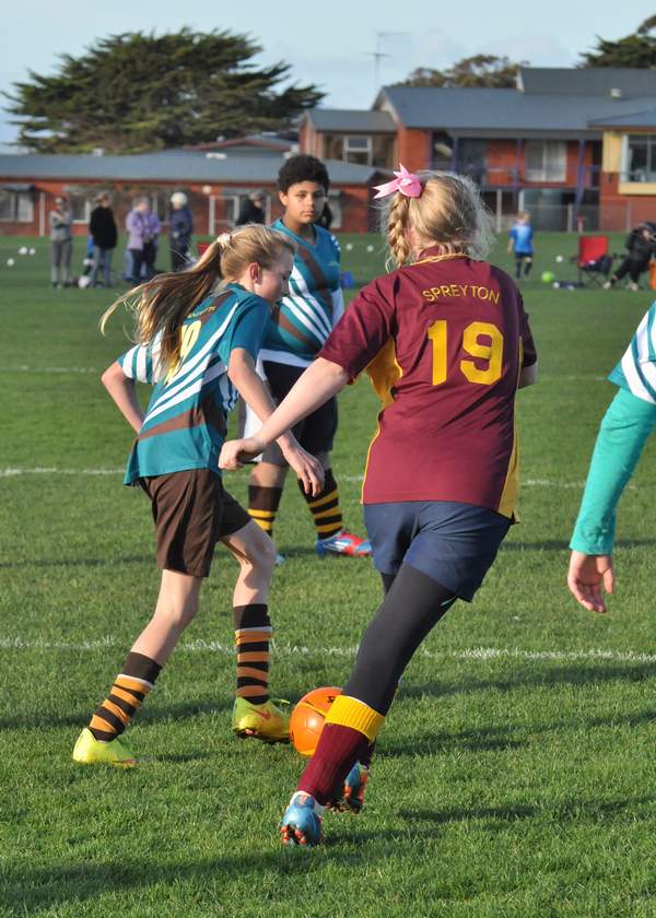 Six A Side Primary 339