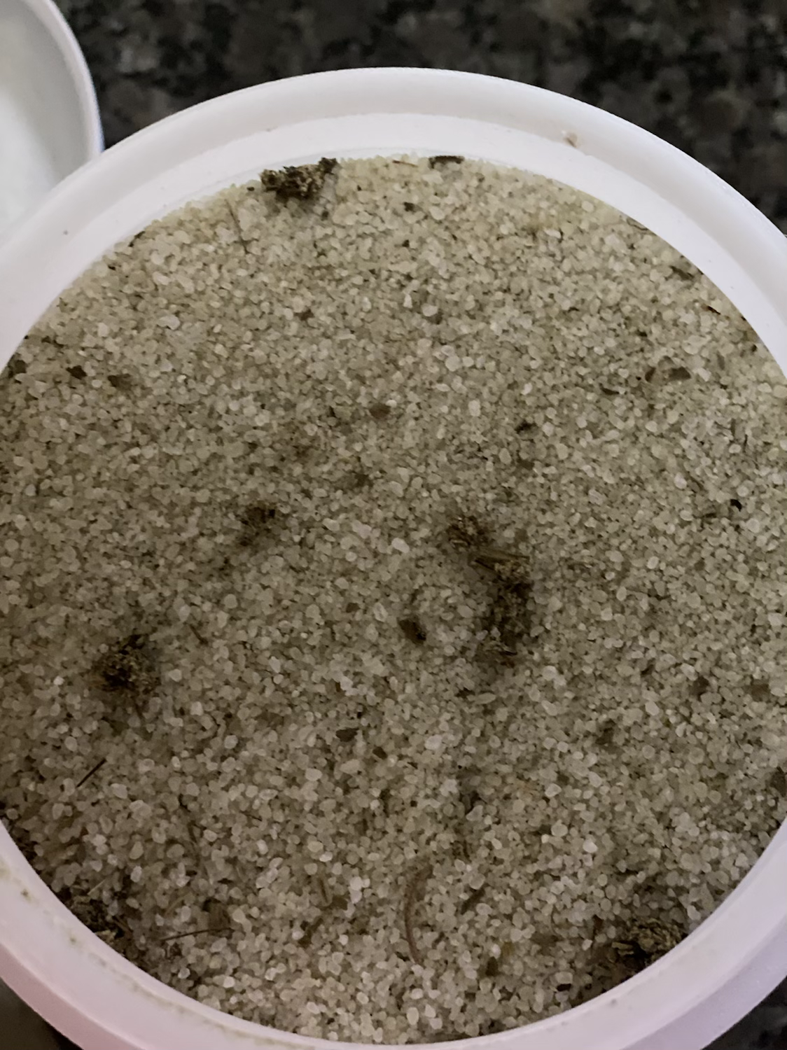 Who’s familiar with the cleansing properties of hissop? content media