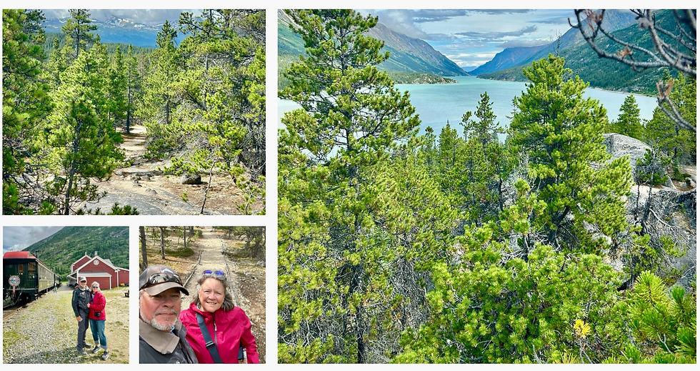 This trail on the left is the Chilkoot Trail the Stampeders took and the view on the right is what they saw when they got to the end of the Trail. From there they built their boats.