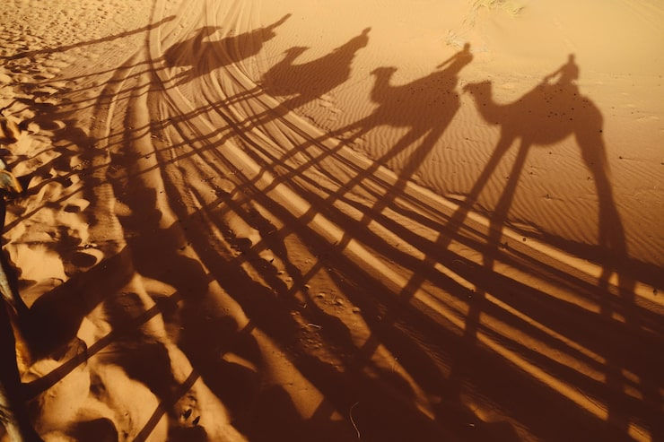 high-angle-view-people-shadow-shore_1598840-1434 (1)