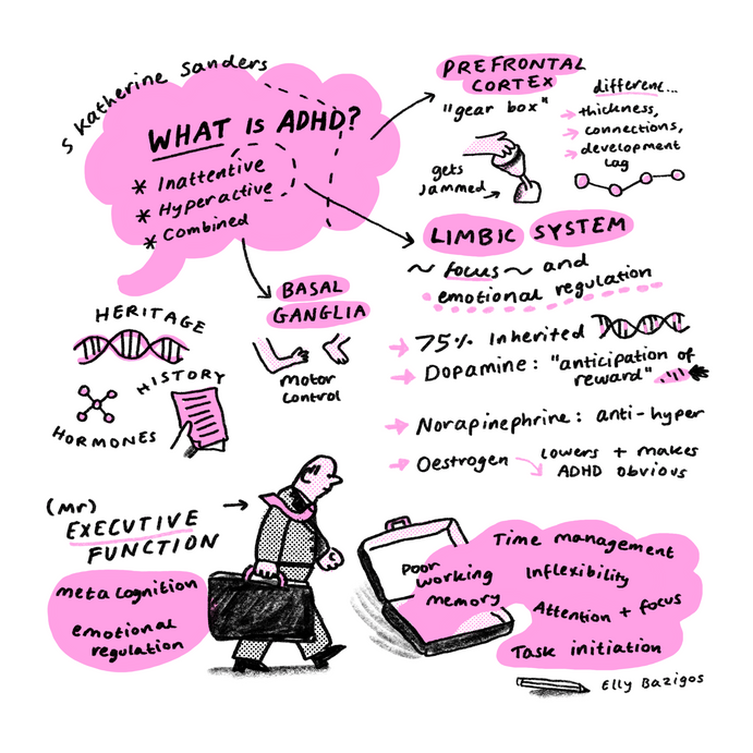 ADHD BRAIN elly bazigos.png