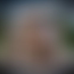 a Drum is not just for christmas