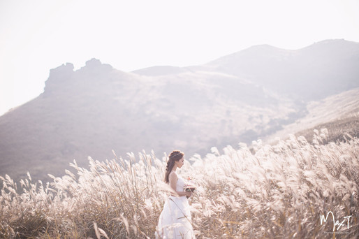 大東山芒草婚紗相  max Tang Photography Pre Wedding 香港婚紗攝影 行山 山系婚紗