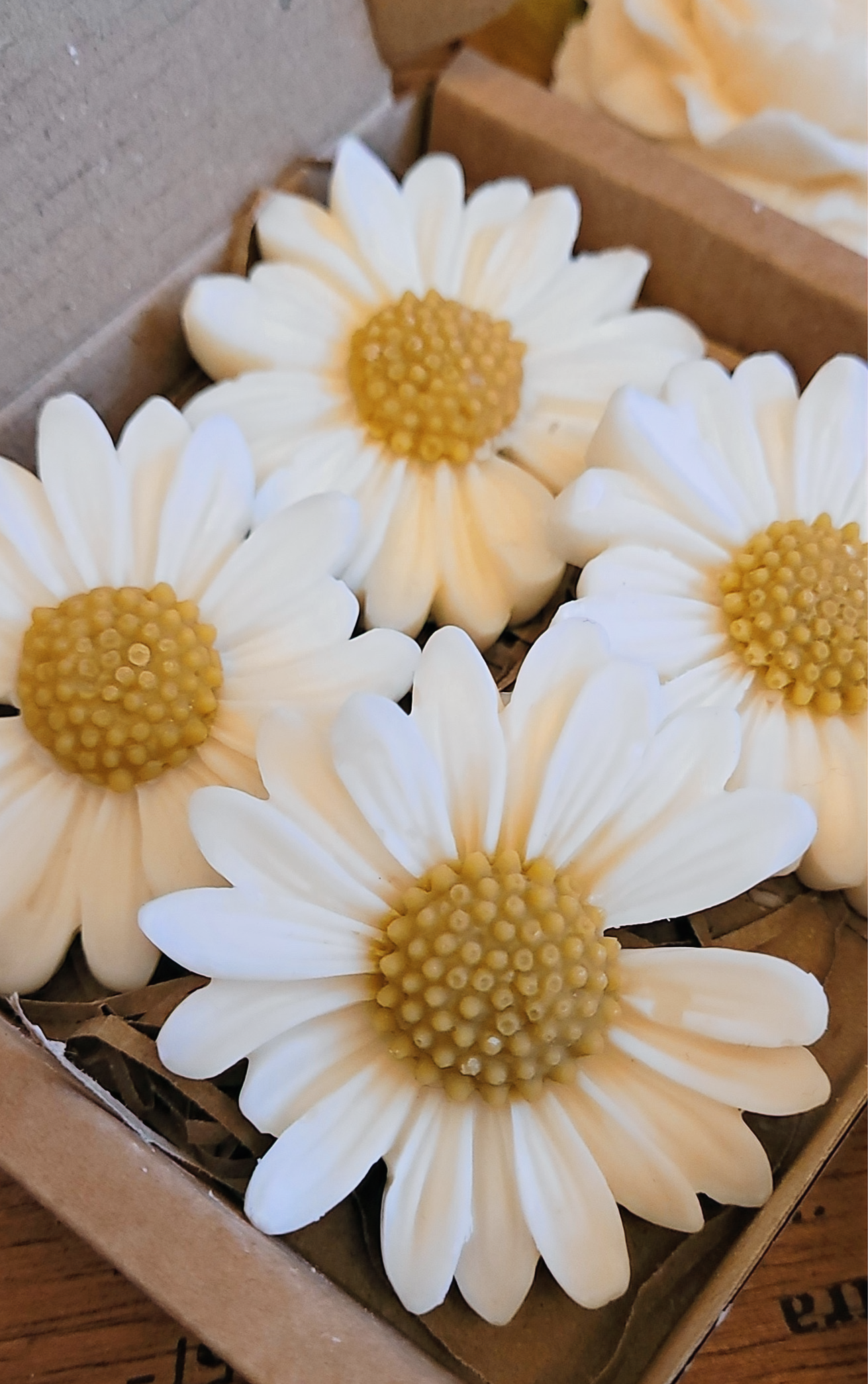 Daisy inspired wax melts