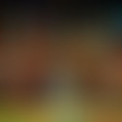 Sunny Afternoon - The Kinks rewrite jukebox musicals