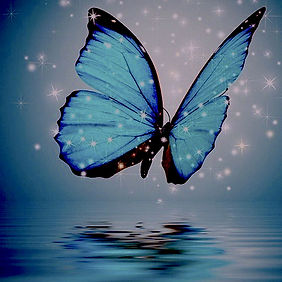 background-beautiful-blue-butterfly-Favim.com-3223407.jpg