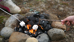 Camp Fire Marshmallows