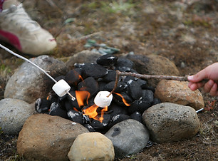 Camp Fire Marshmallows