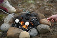 Camp Fire Marshmallows