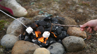 WEird SYmptom #2: Fire pits!