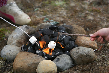 Camp Fire Marshmallows