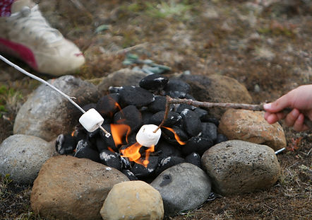 Camp Fire Marshmallows