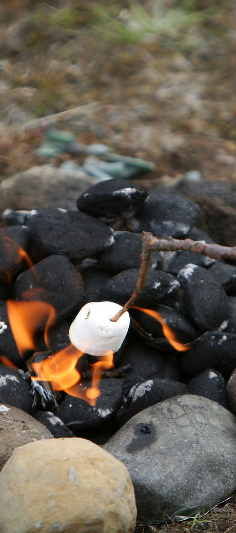 Camp Fire Marshmallows