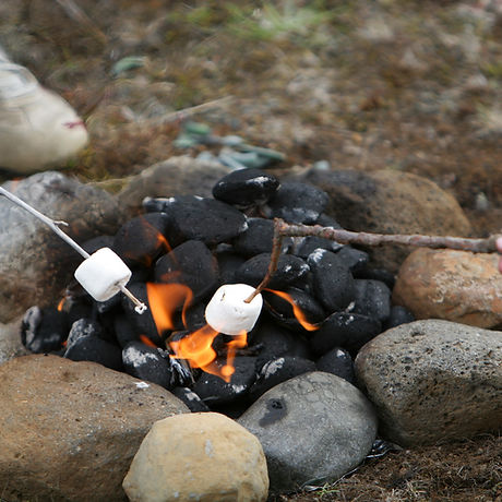 Camp Fire Marshmallows
