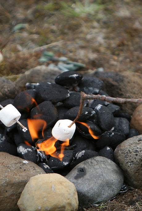 Camp Fire Marshmallows