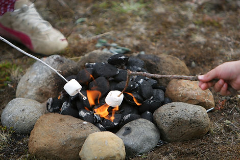 Camp Fire Marshmallows