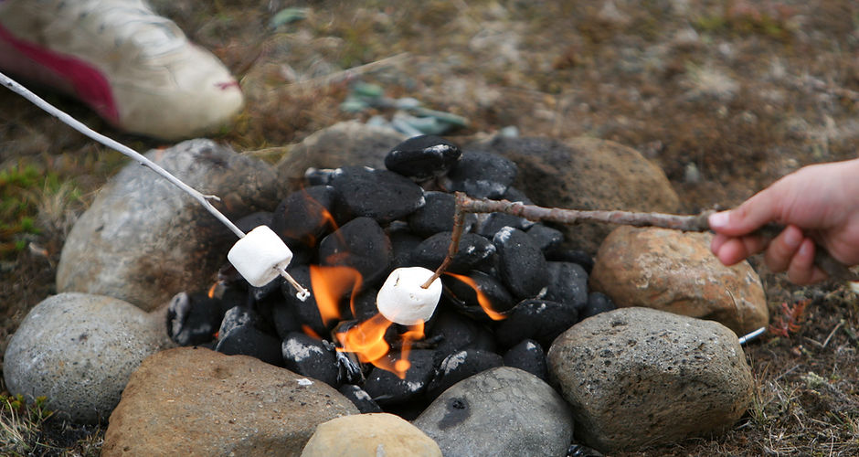 Camp Fire Marshmallows