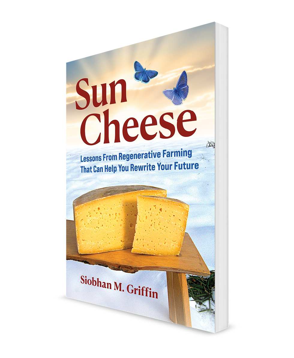 Siobhan Griffin is interviewed about her new book Sun Cheese