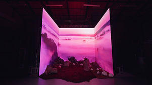 pink1.jpg