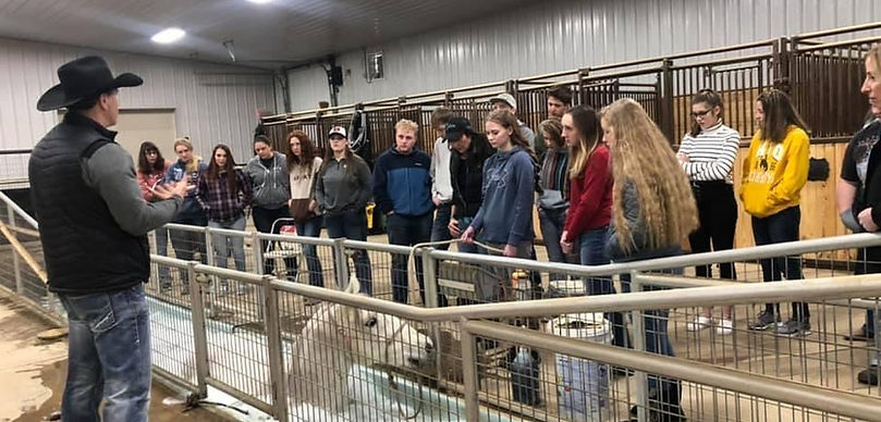 Educational tour showcasing equine rehabilitation and wellness therapies