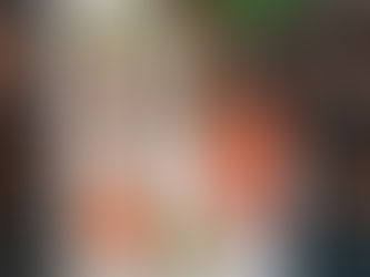 Une nouveauté Noble Collection : la mandragore interactive !