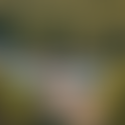 Top 10 Family-Friendly RV Camping Destinations in USA