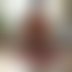 Optimizing Diet and Exercise with Online Diet and Fitness Plans