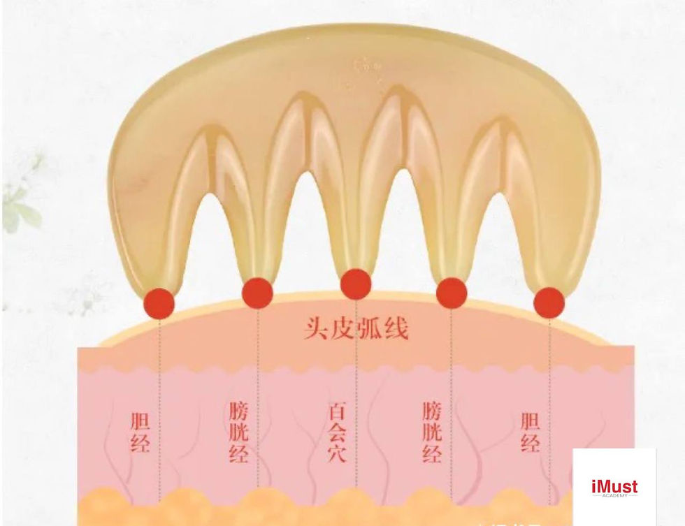 Thumbnail: iMust 5-6mm 100% Ox Horn Handmade Hair Comb Head Scalp Massage天然牛角头部按摩刮痧五经梳厚度5-6