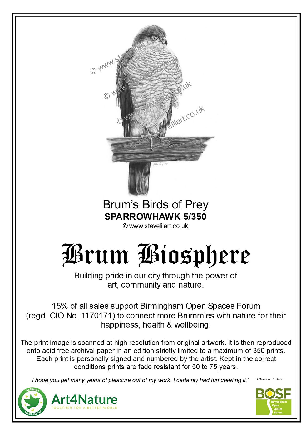 Thumbnail: Sparrowhawk  - Framed Limited Edition Print