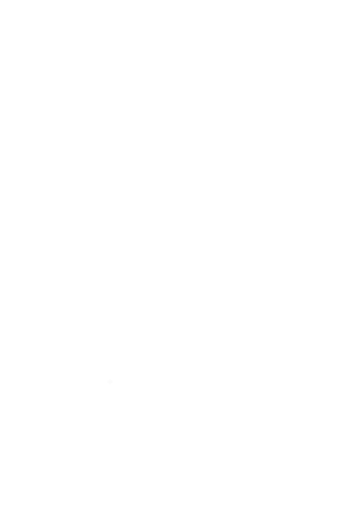New logo copy (2).png