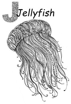 Jellyfish