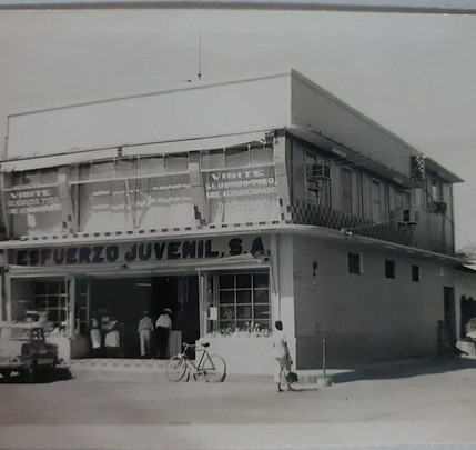 Fig 8_Esfuerzo juvenial (2).jpg