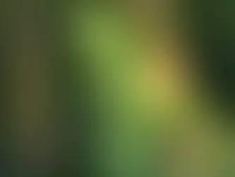 PRZYMIOTNO KANADYJSKIE